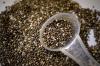 Photo for Chia Seeds Market Overview 2019 By Manufactures, Product scope and Trends