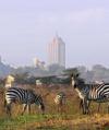 Photo for Nairobi Day Tour Excursions