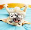 Photo for Dog Walking and Pet Sitting Oxford