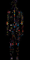 Photo for Precision Medicine Market Size, Share, Growth, Trends and Forecast Research Report, 2018 to 2025