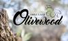Photo for Holy Land Olive Wood