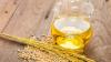 Photo for Global Rice Bran Oil Market Manufacturers Sales Analysis Report 2019-2024