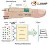 Photo for How biosensors incorporating a biological sensing element