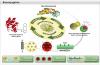 Photo for Bioconjugation