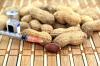 Photo for Peanut Allergy Vaccine Market Health Improvement Aspects, Expert Reviews, Research 2018 to 2026
