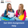 Photo for SAS Assignment Help