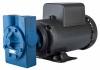 Photo for Global Pump in Lubrication Application Market Manufacturers Sales Analysis Report 2019-2024