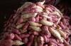 Photo for Global Sweet Potato Market Manufacturers Sales Analysis Report 2019-2024