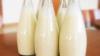 Photo for Global Sheep Milk Market Manufacturers Sales Analysis Report 2019-2024