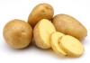 Photo for Global Potato Protein Market 2019 | Manufacturers, Regions, Type And Application, Forecast To 2024