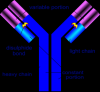 Photo for Antibody Production Market Size, Share, Growth and Forecast Report, 2018 to 2025