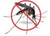 Photo for Global Mosquito Control Market 2019 | Manufacturers, Regions, Type And Application, Forecast To 2024