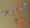 Photo for analysis of proteins and antibodies