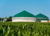 Photo for Global Biogas Market Trend, Marketing Channels, Major Industry Participants, Strategies  and Forecast To 2024