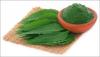 Photo for Neem Extracts Market Report 2018-2025 By Top Players - Parker Biotech Pvt. Ltd. Neeming Australia Pvt. Ltd, PJ Margo Pvt. Ltd.