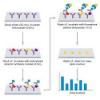 Photo for Global Multiplex Assay Market Trend, Marketing Channels, Major Industry Participants, Strategies  and Forecast To 2024