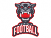 Photo for Best Football Service
