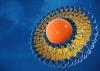 Photo for Global Liposomes Drug Delivery Market Manufacturers Sales Analysis Report 2019-2024