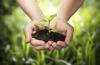 Photo for Controlled Release Fertilizers Market Report From 2018 To 2025 - Dow AgroSciences LLC, Uniroyal Chemical, BASF SE, Mitsui Toatsu Co., Nitto Ryuso