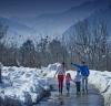 Photo for kullu-manalipackages.com