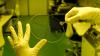 Photo for Photoresists And Photoresist Ancillaries Market | Size | Share | Research Report To, 2025