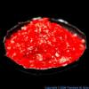Photo for Global Ruthenium Chloride Market Trend, Marketing Channels, Major Industry Participants, Strategies  and Forecast To 2024
