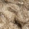 Photo for Global Flax Crop Market Trend, Marketing Channels, Major Industry Participants, Strategies  and Forecast To 2024