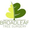 Photo for Broadleaf Tree Surgery