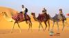 Photo for Camel ride in dubai