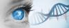Photo for Gene Therapy Market Report From 2018 To 2025 Analysis By Top Company Profiles - AnGes MG, Inc, Ark Therapeutics, Ceregene, Inc, Cobra Biologics, GenVec, Inc, Genzyme Corporation