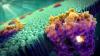 Photo for Recombinant Expression Systems Market Growth & Estimation, 2025 | Agilent Technologies, Inc., Bio-Rad Laboratories, Inc., Life Technologies Corporation, Merck Millipore