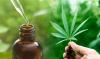 Photo for CBDfx.com has CBD Oils for All Kinds of Human Ailments for People of All Age Groups.