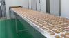 Photo for Shanghai HG Food Machinery Co.,ltd
