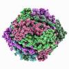 Photo for Global Catalase Market Trend, Marketing Channels, Major Industry Participants, Strategies  and Forecast To 2024