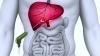 Photo for Ablation Technologies Market To 2025, Size, Share Analysis by Key Players - Medtronic PLC, Biosense Webster, Inc. (A Subsidiary of Johnson & Johnson Inc.), St. Jude Medical, Inc.