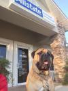 Photo for Keith Todd Allstate Insurance