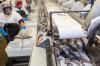 Photo for Seafood Processing Equipment Market – Industry Analysis, Segments, Key Players and Trends to 2025