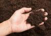 Photo for Manufactured Soil Market Report | Industry Size and Leading Key Players - Resource Management, Inc., Tim O’hare Associates LLP, Peaceful Valley Farm & Garden Supply