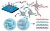 Photo for Gene Synthesis Market Latest Trends and Developments