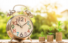 Photo for Investment with an LLC: Vital Things to Know