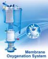 Photo for Global Membrane Oxygenator Market Manufacturers Sales Analysis Report 2019-2024