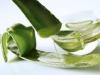 Photo for Aloe Vera Extracts Market Study By Product Type, Form & Top Key Players - Lily of the Desert Organic Aloeceuticals, Aloe Farms Inc., Terry Laboratories Inc., Foodchem International Cooperation