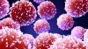 Photo for Small Molecule Cancer Drugs Market To Register Unwavering Growth During in Global by 2027