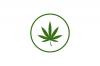 Photo for Gas Dank Weed | Cannabis Delivery Toronto