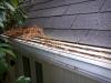 Photo for Best Gutter Guards