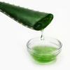 Photo for Global Aloe Vera Extract Market Trend, Marketing Channels, Major Industry Participants, Strategies  and Forecast To 2024
