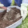 Photo for Nitrogenous Fertilizers Market 2019: Industry Growth, Trends and Research Report, To 2025