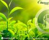 Photo for Biodiesel pumps in Uttar Pradesh