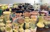 Photo for Global Sanitary Pottery Market 2019 | Manufacturers, Regions, Type And Application, Forecast To 2024
