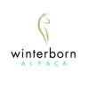 Photo for Winterborn Alpaca USA